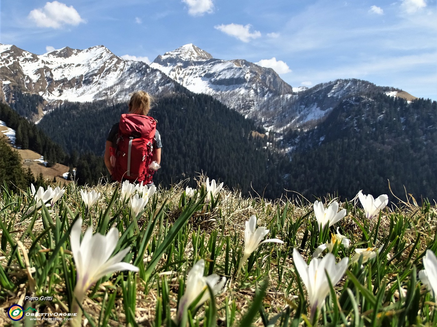 12 Crocus con vista in Siltri, Val Terzera, Monte Cavallo.JPG